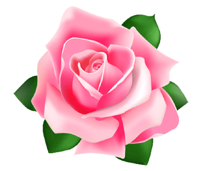 Ekspresi Florist 9