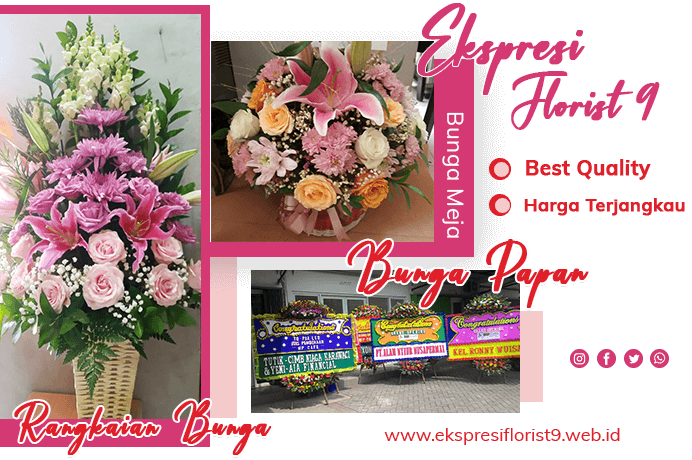 profil ekspresi florist 9 profil ekspresi florist 9